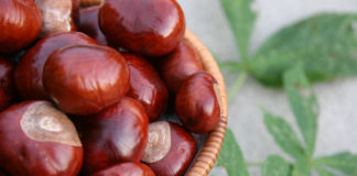 Festa delle Castagne e dei Ricordi 2014 1333 0 Festa delle Castagne e dei Ricordi 2014